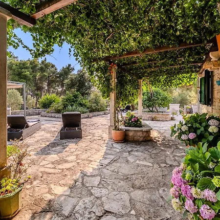 Holiday Sarbunara * Milna (Brac)